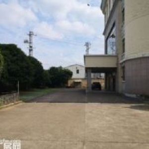 出租枫桥镇17000方厂房，位置优环境好 交通便