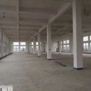 出租浦阳1100方单层，层高8米，可以装行车，有院子，230