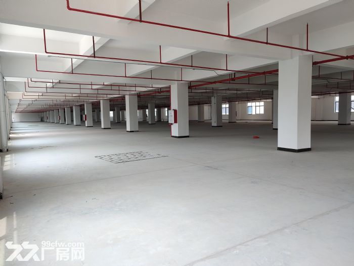 出租戴村16000方3幢厂房，分别2390方、6357方、7316方-图3