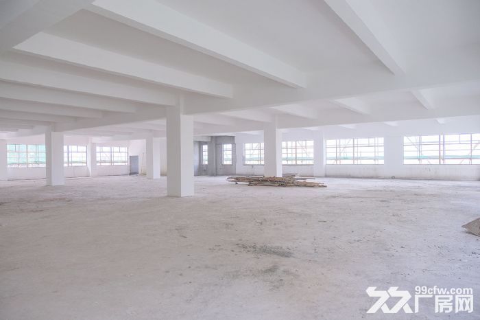 出租塘北村独门独院1200方单层钢棚，带两亩空地，价格20块-图4