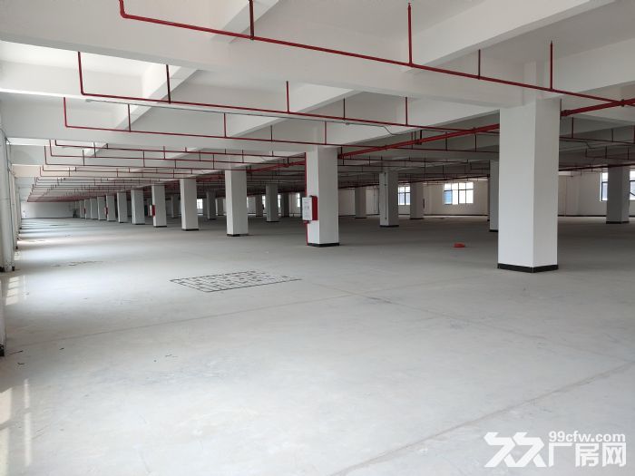 出租浬浦1600方厂房，共两间，800方/间-图2