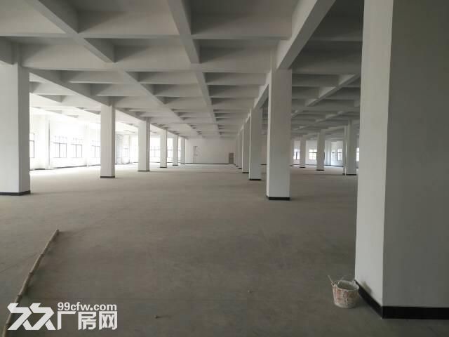 出租浬浦1600方厂房，共两间，800方/间