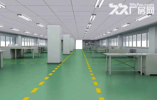 出租诸暨三都2900方厂房，层高3.5米，三楼有货梯，适合做电商、仓库