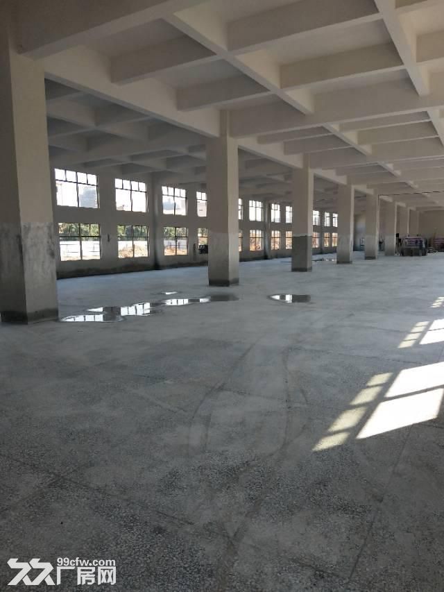 出租新街104国道旁10000方厂房，2楼2000方，4−5楼各4000方-图2