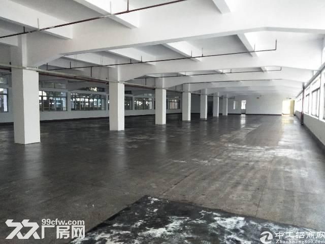 出租新街104国道旁10000方厂房，2楼2000方，4−5楼各4000方-图3