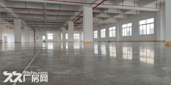 出租新安4500方厂房，单层1500方，1−3层3000方，独门独院-图2