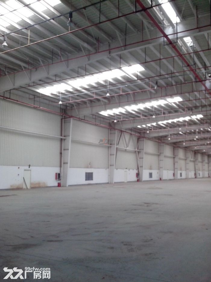 出租新安舍南村一楼厂房1100方，带办公宿舍和几十平冷藏间，报价15块-图2